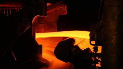 Excepteur sint occaecat cupidatat non proident